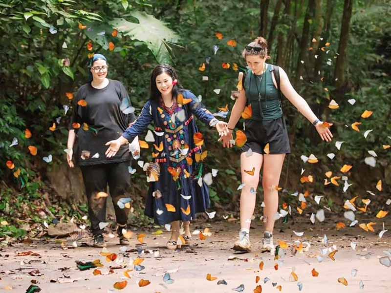 Ninh Binh Tour - 2 Days 1 Night: Hanoi - Hoa Lu - Trang An - Mua Cave - Cuc Phuong National Park