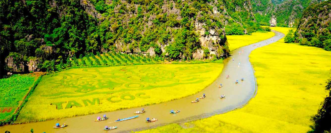 Ninh Binh Tour: Hanoi - Hoa Lu - Tam Coc - Mua Cave - 1 Day